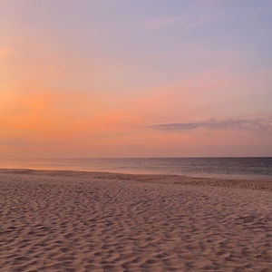 Meet your Posher, Maeve